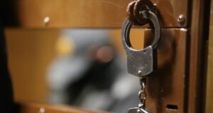Вынесен приговор по уголовному делу о подготовке к убийству Маргариты Симоньян и других преступлениях naruchniki_14_