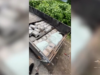 В Чувашской Республике полицейские изъяли крупную партию наркотиков zwzbe89m0ngdtppfo9pksm9iclyho3ng