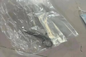 Петербурженка проткнула маникюрными ножницами ягодицу парню, который вернул ей сумочку.