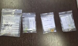 Контрабандист спрятал драгоценностей на 3,4 млн рублей в тетрадках.