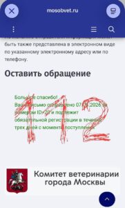 Экс-сотрудники капибара-кафе заявили о жестоком обращении с животными.