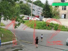 Подростки закидали камнями женщину-инвалида в Приморье.