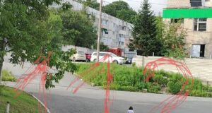 Подростки закидали камнями женщину-инвалида в Приморье.
