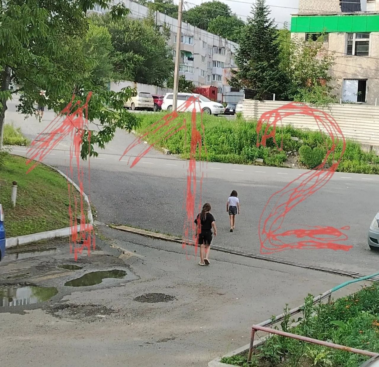 Подростки закидали камнями женщину-инвалида в Приморье.