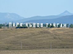 Сафари-парк Тайган в Белогорском районе - РИА Новости, 1920, 24.08.2026