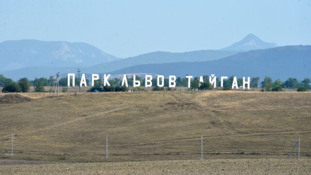 Сафари-парк Тайган в Белогорском районе - РИА Новости, 1920, 24.08.2026