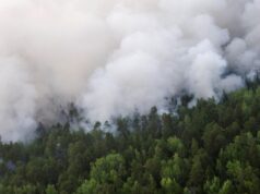 В России за сутки потушили 56 лесных пожаров на площади более 31,5 тыс гектаров Тушение природных пожаров - РИА Новости, 1920, 04.08.2026