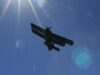 В Самарской области проводится проверка после падения Ан-2 во время орошения Самолет Ан-2 - РИА Новости, 1920, 12.08.2026
