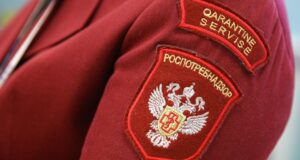 Шеврон сотрудника Роспотребнадзора - РИА Новости, 1920, 19.08.2026