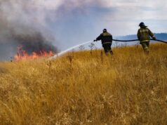 В России за сутки потушили 22 лесных пожара на площади более тысячи гектаров Сотрудники МЧС РФ тушат лесной пожар - РИА Новости, 1920, 24.08.2026