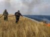 В России за сутки потушили 51 лесной пожар на площади более 15 тысяч гектаров Сотрудники МЧС РФ тушат лесной пожар в Воронежской области - РИА Новости, 1920, 09.08.2026