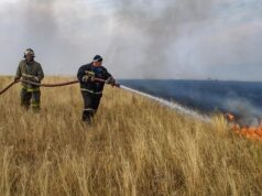 В России за сутки потушили 51 лесной пожар на площади более 15 тысяч гектаров Сотрудники МЧС РФ тушат лесной пожар в Воронежской области - РИА Новости, 1920, 09.08.2026