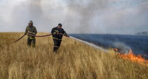 Сотрудники МЧС РФ тушат лесной пожар в Воронежской области - РИА Новости, 1920, 09.08.2026