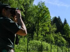 Латвийские пограничники задержали водителя, перевозившего семерых мигрантов Латвийско-белорусская граница - РИА Новости, 1920, 27.08.2026