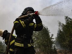 Слюсарь: в Ростовской области потушили возникший после падения БПЛА лесной пожар Сотрудники МЧС тушат лесной пожар - РИА Новости, 1920, 24.08.2026