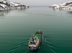 Два судна, на которых умерли трое российских моряков, стояли в одном порту в КНР Грузовая баржа - РИА Новости, 1920, 20.08.2026