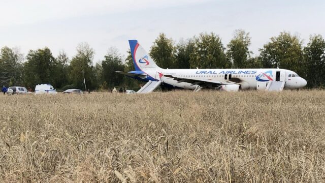 Посадивший самолет в пшеничном поле пилот Белов поблагодарил всех за поддержку Самолет авиакомпании Уральские авиалинии, совершивший аварийную посадку - РИА Новости, 1920, 13.08.2026