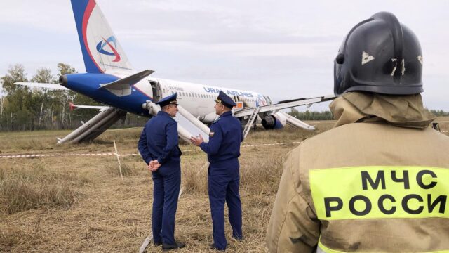 Дело пилота Белова вернули в прокуратуру для устранения нарушений Сотрудники спасательных служб на месте аварийной посадки самолета авиакомпании Уральские авиалинии на грунт в Убинском районе Новосибирской области - РИА Новости, 1920, 13.08.2026