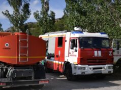 Развожаев: в Севастополе из-за упавших обломков БПЛА загорелся лес Пожарный расчет в Крыму - РИА Новости, 1920, 10.08.2026