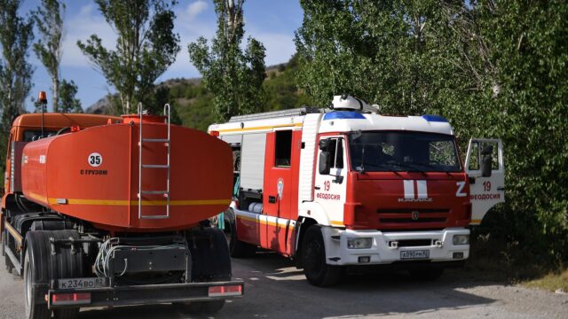Развожаев: в Севастополе из-за упавших обломков БПЛА загорелся лес Пожарный расчет в Крыму - РИА Новости, 1920, 10.08.2026