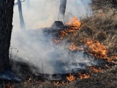 Природному пожару в Анапе присвоили повышенный ранг сложности номер три Пожар - РИА Новости, 1920, 30.08.2026