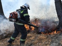Под Севастополем второй день тушат лесной пожар, возникший после падения дронов Сотрудник МЧС - РИА Новости, 1920, 11.08.2026