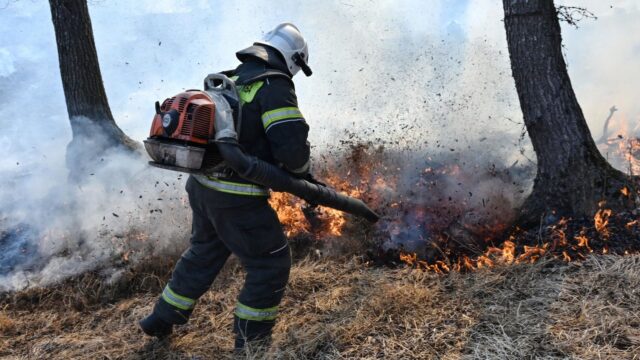 Под Севастополем второй день тушат лесной пожар, возникший после падения дронов Сотрудник МЧС - РИА Новости, 1920, 11.08.2026