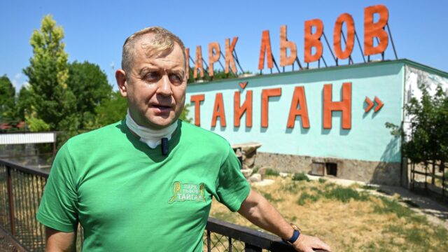 Aif.ru: владелец парка "Тайган" Олег Зубков после аварии чувствует себя хорошо Директор сафари-парка Тайган Олег Зубков - РИА Новости, 1920, 24.08.2026
