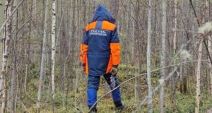 Спасатели Красноярского поисково-спасательного отряда работают в районе пропажи семьи Усольцевых - РИА Новости, 1920, 29.08.2026
