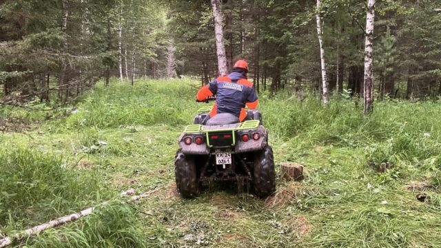 СК отрабатывает различные версии исчезновения Усольцевых в Красноярском крае Группировка краевых спасателей задействована в дополнительных мероприятиях по поиску семьи Усольцевых, пропавшей в Манско-Уярском округе - РИА Новости, 1920, 26.08.2026