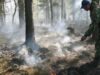 На Ямале ввели режим ЧС регионального характера из-за жары и природных пожаров Тушение лесного пожара в ЯНАО - РИА Новости, 1920, 17.08.2026