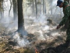 На Ямале ввели режим ЧС регионального характера из-за жары и природных пожаров Тушение лесного пожара в ЯНАО - РИА Новости, 1920, 17.08.2026