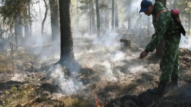 На Ямале ввели режим ЧС регионального характера из-за жары и природных пожаров Тушение лесного пожара в ЯНАО - РИА Новости, 1920, 17.08.2026