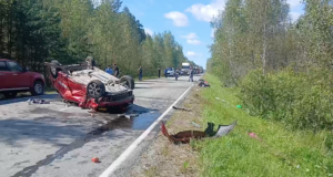 Последствия ДТП с участием двух автомобилей в Тюменской области - РИА Новости, 1920, 09.08.2026