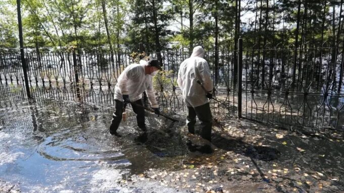 В Тюмени за неделю собрали более четырех тонн погибшей во время паводка рыбы Вылов погибшей рыбы во время паводка в Тюмени - РИА Новости, 1920, 09.08.2026