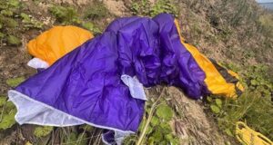 Место происшествия в деревне Боброво в Архангельской области - РИА Новости, 1920, 11.08.2026