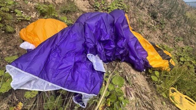 Место происшествия в деревне Боброво в Архангельской области - РИА Новости, 1920, 11.08.2026