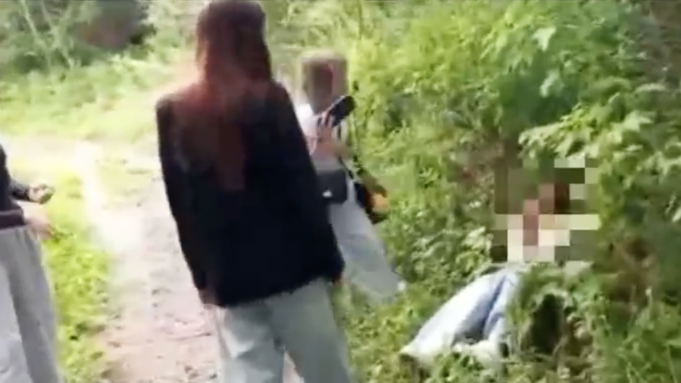 Нападение подростков на 13-летнюю девочку в Партизанске Приморского края - РИА Новости, 1920, 17.08.2026