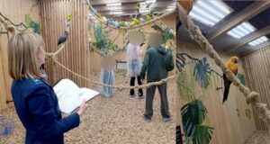 Работа Прокуратуры на месте обнаружения попугаев в морозильной камере в антикафе - РИА Новости, 1920, 19.08.2026