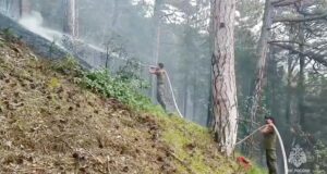 Площадь лесного пожара у Ялты увеличилась до 50 гектаров, тушение затруднено Тушение лесного пожара в Ялте - РИА Новости, 1920, 21.08.2026