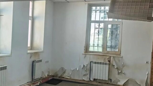 Россельхознадзор нашел нарушения в кафе с енотами в Екатеринбурге Условия содержания енотов в Енотокафе Лесная братва в Екатеринбурге - РИА Новости, 1920, 21.08.2026