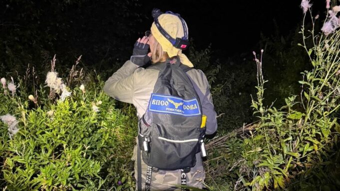 В Тверской области водителей внедорожников попросили помочь в поиске подростка Волонтеры ищут пропавшего мальчика в Тверской области - РИА Новости, 1920, 27.08.2026