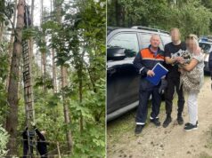 Спасатели ГКУ МО Мособлпожспас помогают мужчине слезть с сосны - РИА Новости, 1920, 31.08.2026