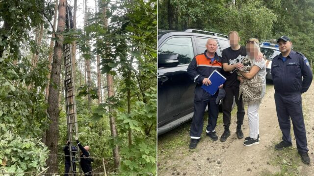 Спасатели ГКУ МО Мособлпожспас помогают мужчине слезть с сосны - РИА Новости, 1920, 31.08.2026