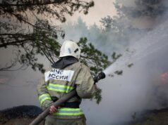 В России за сутки потушили 13 лесных пожаров на площади 3951 гектар Сотрудник противопожарной службы МЧС РФ тушит лесной пожар - РИА Новости, 1920, 06.09.2026