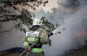 В России за сутки потушили 13 лесных пожаров на площади 3951 гектар Сотрудник противопожарной службы МЧС РФ тушит лесной пожар - РИА Новости, 1920, 06.09.2026