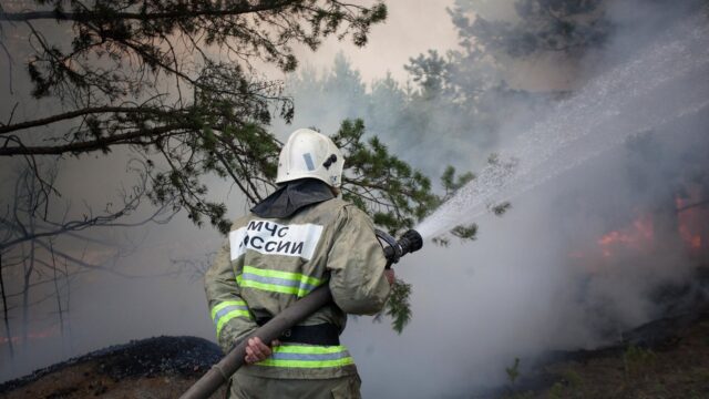 В России за сутки потушили 13 лесных пожаров на площади 3951 гектар Сотрудник противопожарной службы МЧС РФ тушит лесной пожар - РИА Новости, 1920, 06.09.2026