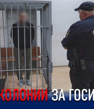 7 лет колонии строго режима за помощь нежелательным иностранным организациям d4077558b2be1293aa156b3f710736c4